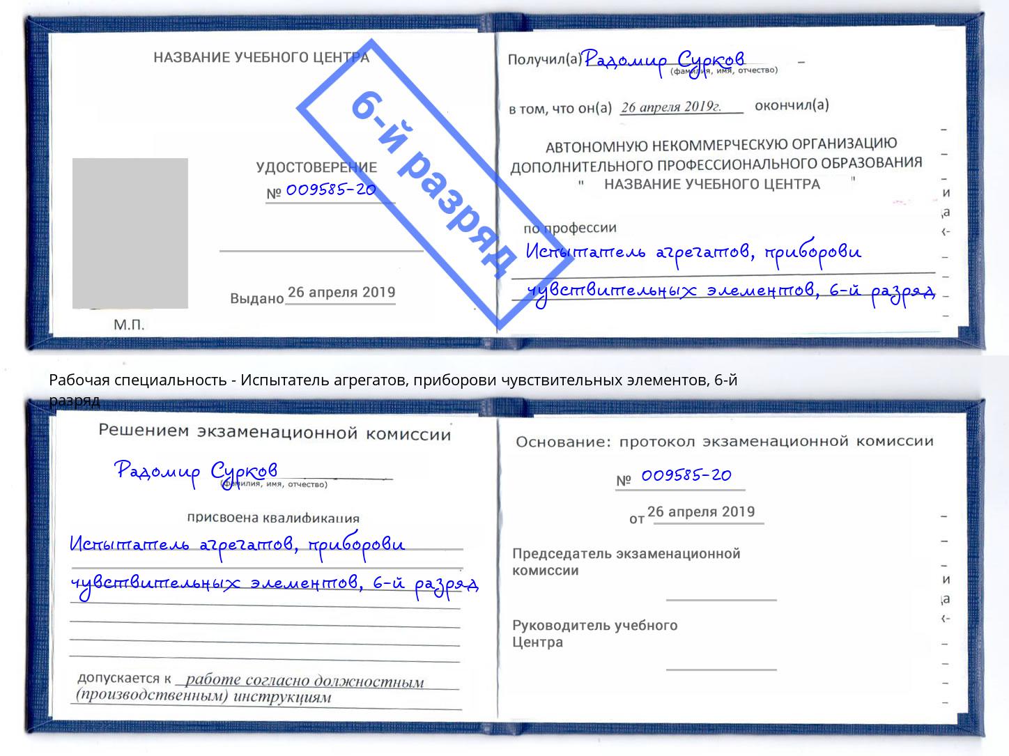 корочка 6-й разряд Испытатель агрегатов, приборови чувствительных элементов Лесосибирск